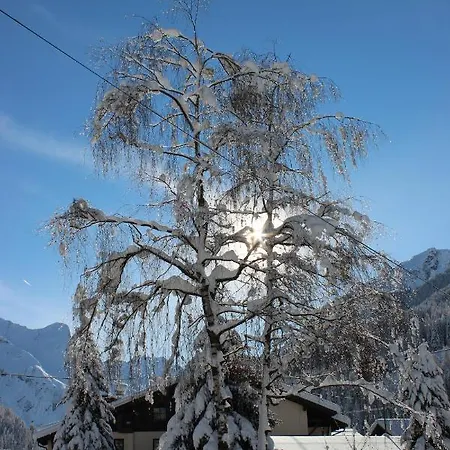 Baeckerei Schranz Alojamento de Acomodação e Pequeno-almoço 3*