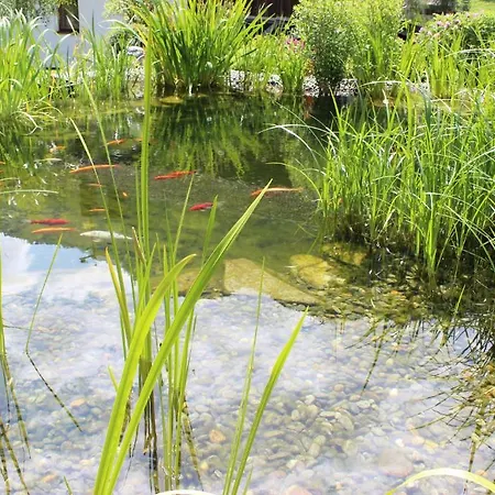 Alojamento de Acomodação e Pequeno-almoço Baeckerei Schranz 3*